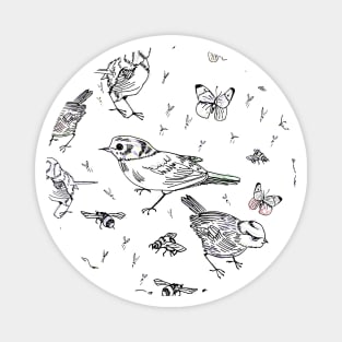 Garden birds Magnet